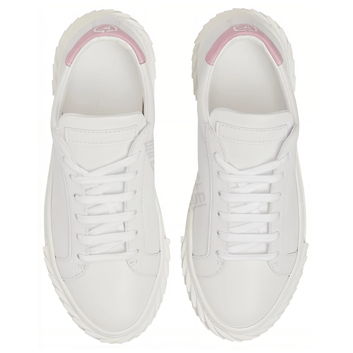 giuseppe zanottiGZ Ecoblabber