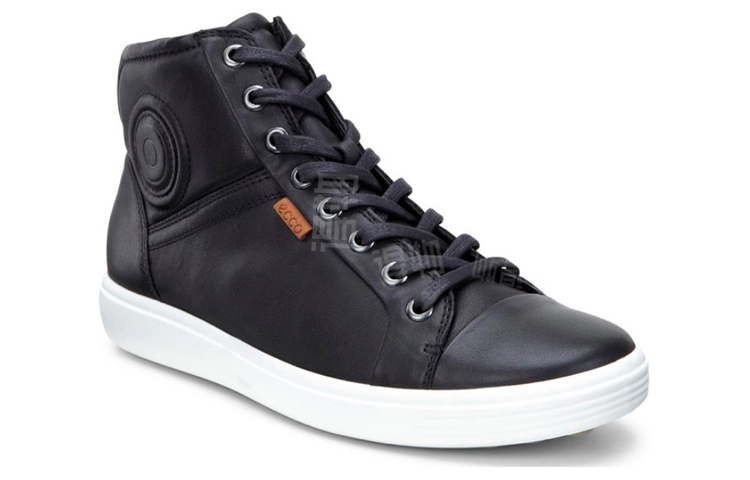 ecco 7
