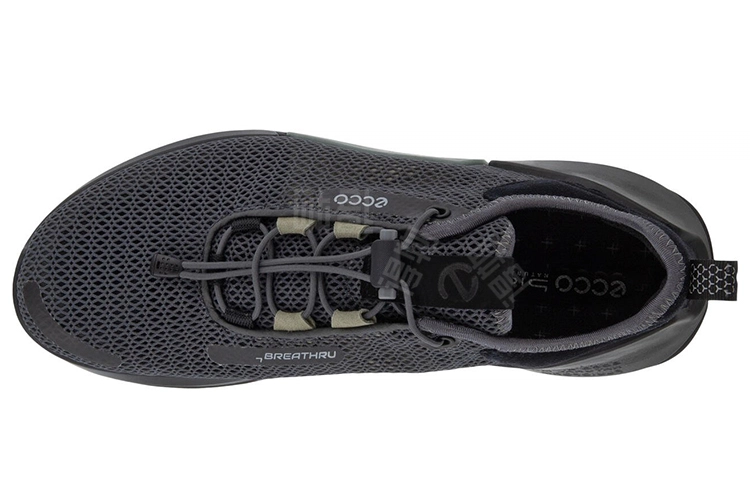 ecco Biom 2.0