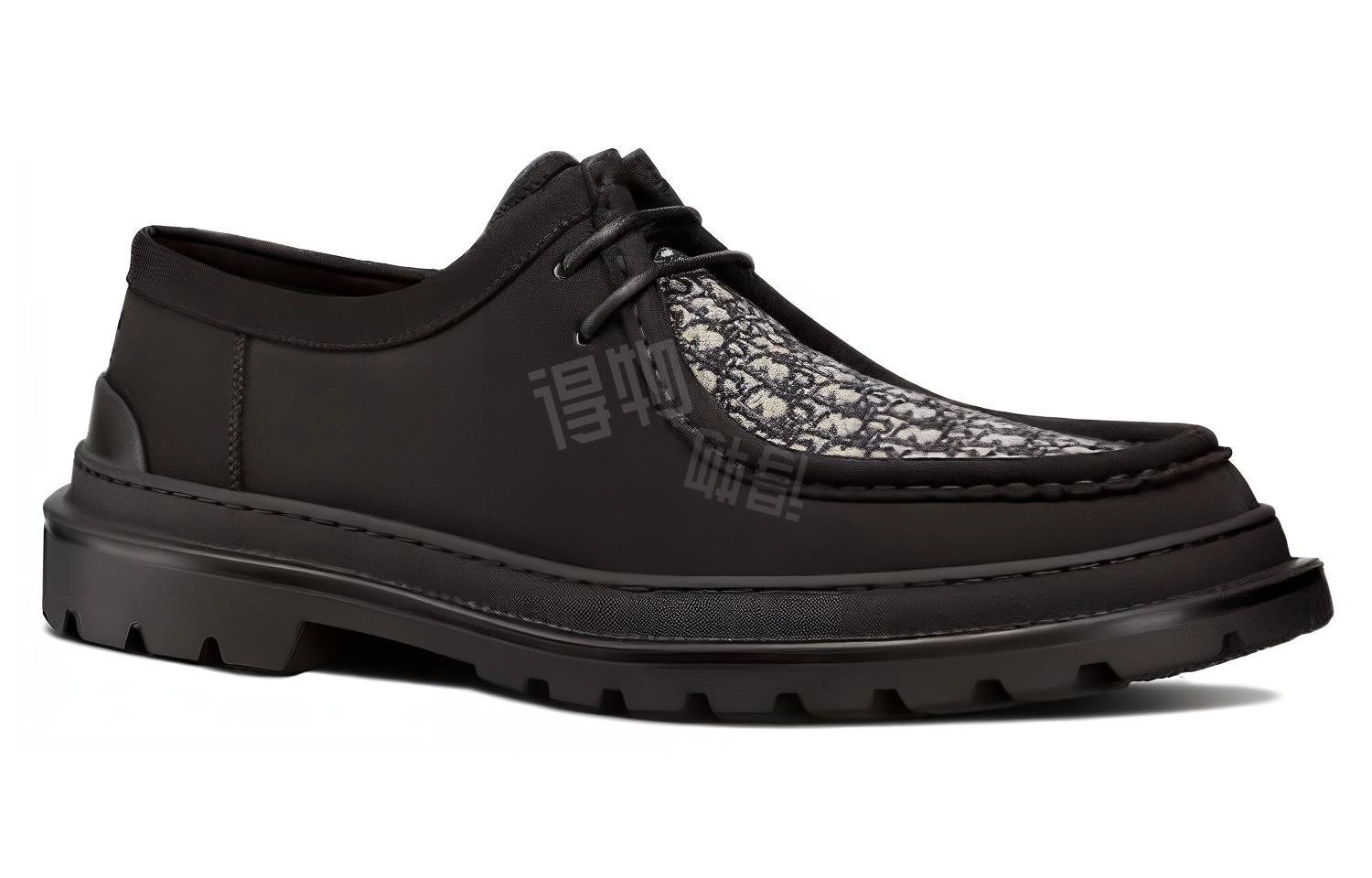 DIOR Dior Explorer