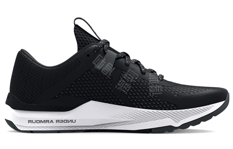 Under Armour Project Rock Bsr 2