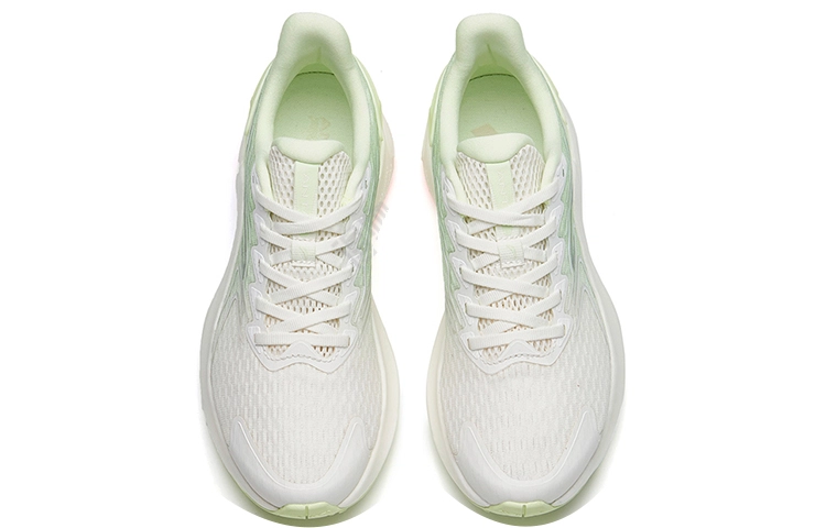 Anta 2