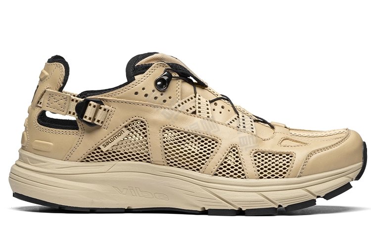 Salomon Techsonic LTR Advanced