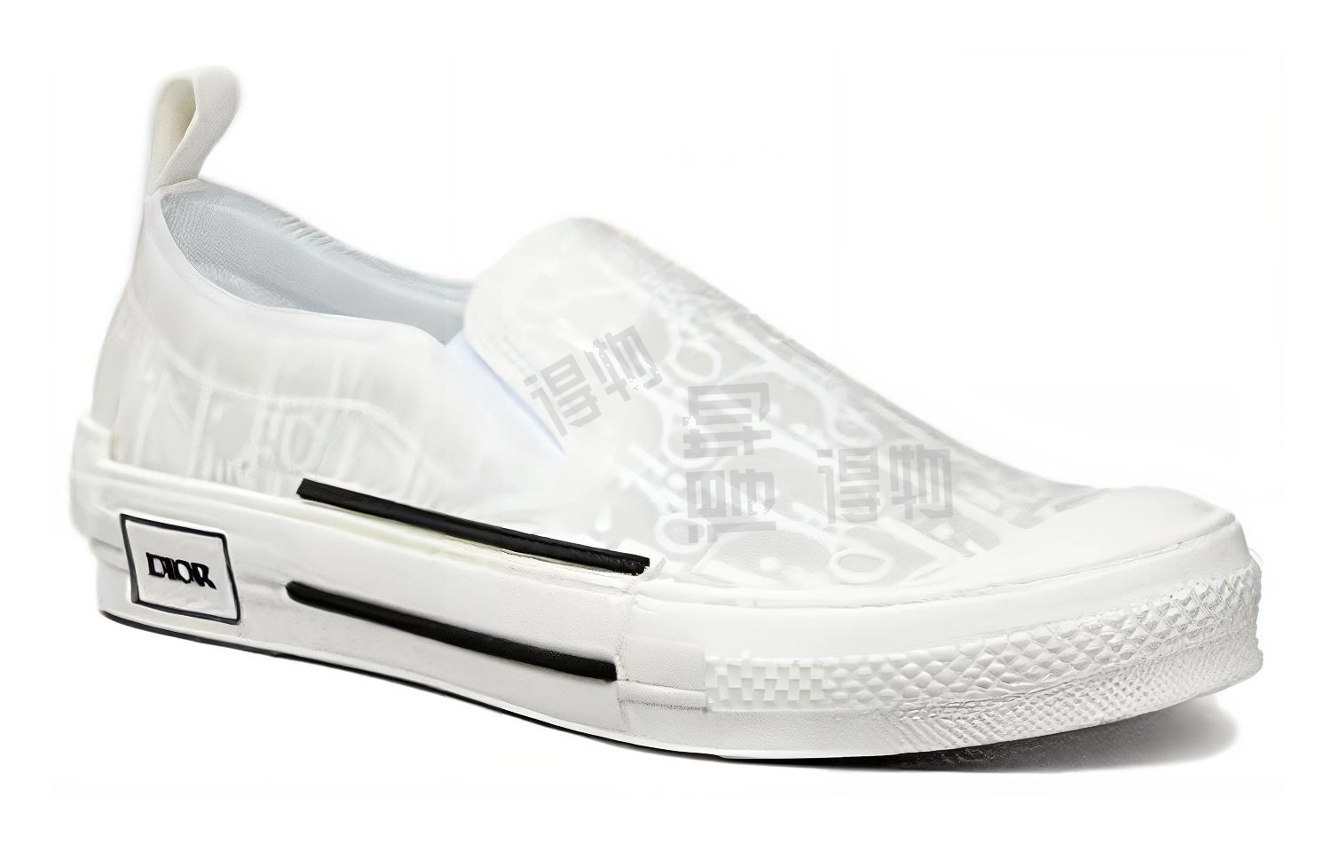 DIOR B23