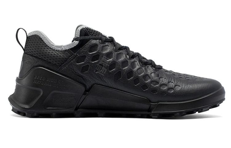 ecco 2.1