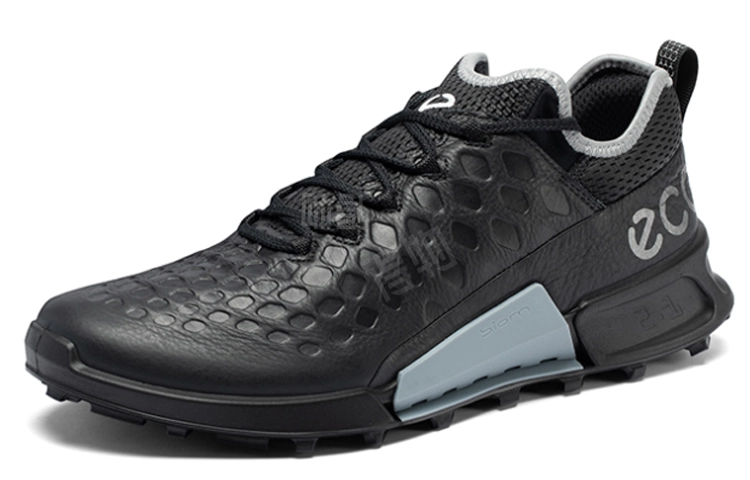 ecco 2.1