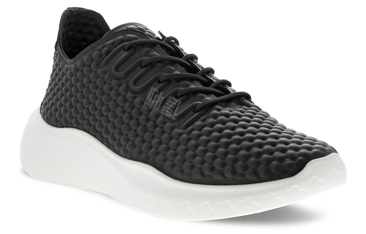 ecco Therap