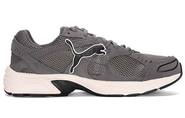 PUMA Axis