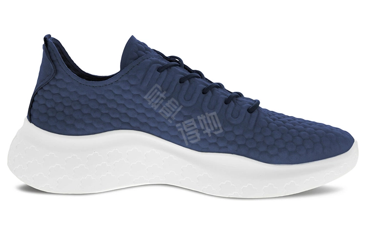ecco Therap