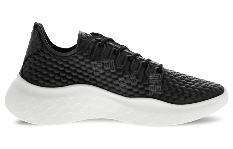 ecco Therap