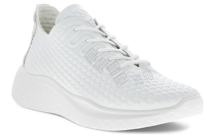 ecco Therap