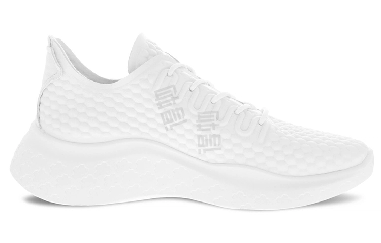 ecco Therap