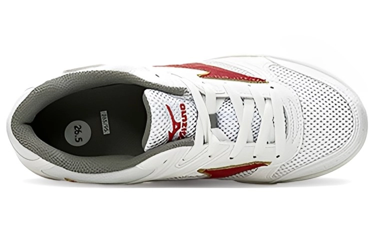 Mizuno School Indoor
