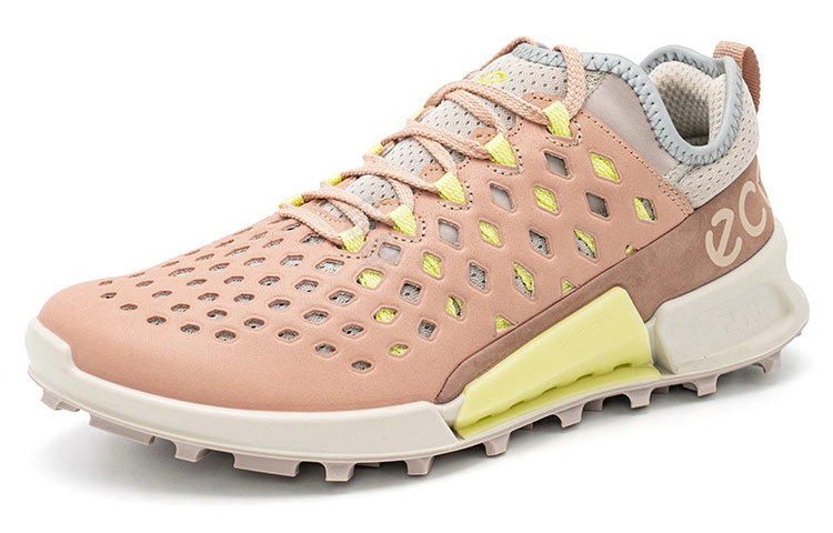 ecco 2.1