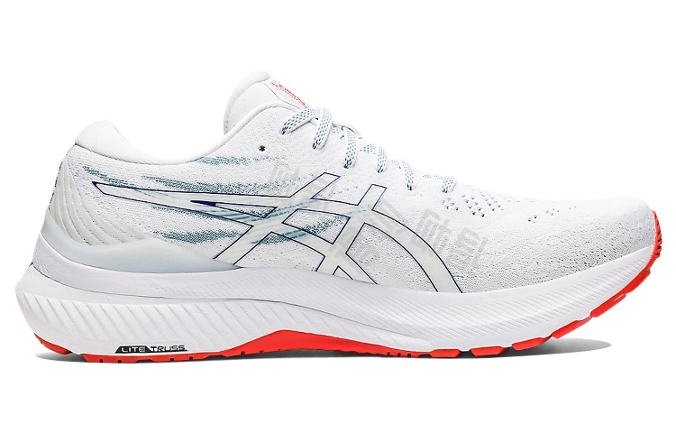 Asics GEL-KAYANO 29