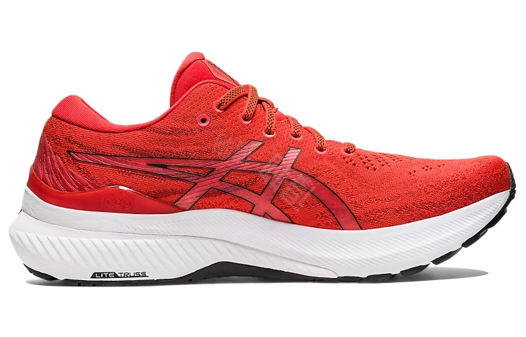 Asics GEL-KAYANO 29