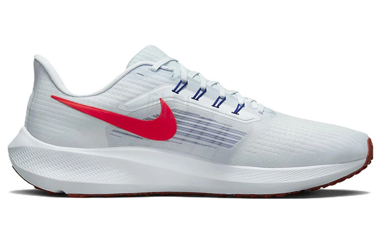Nike Air Zoom Pegasus 39