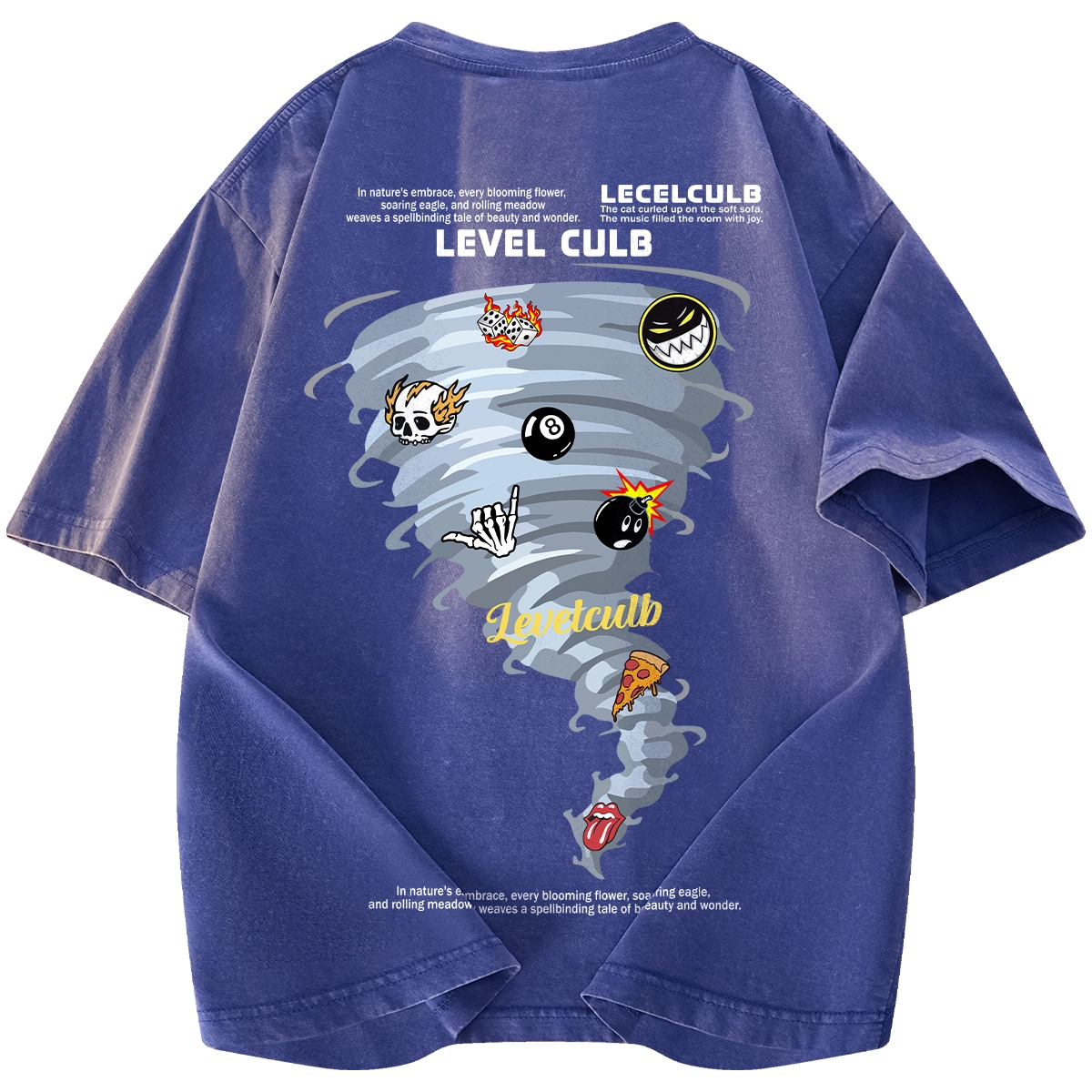 LEVEL T