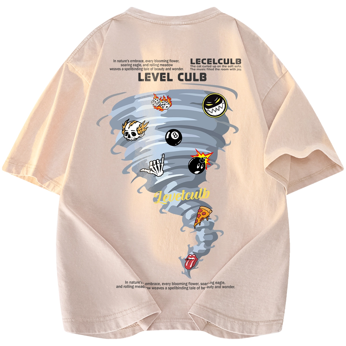 LEVEL T