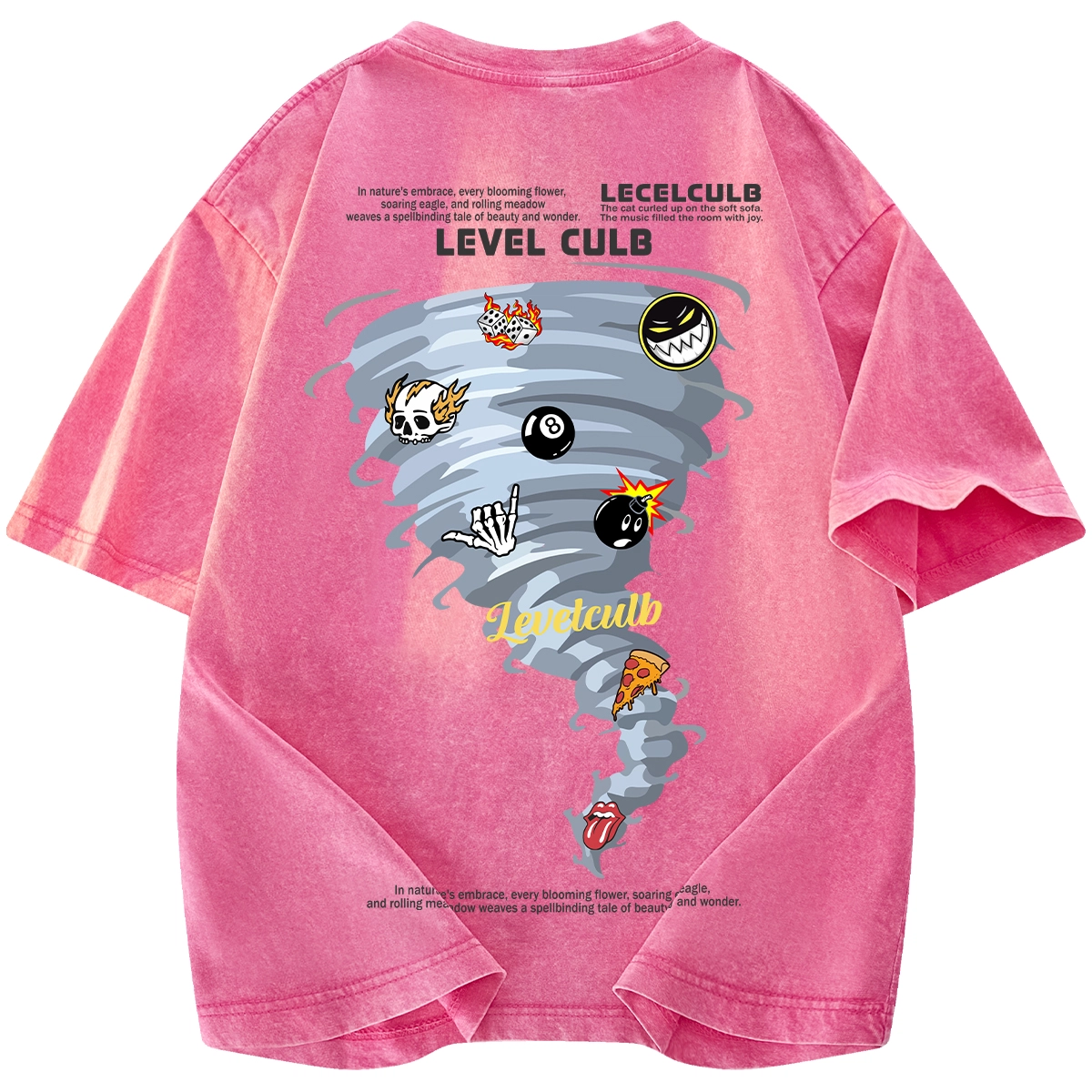 LEVEL T