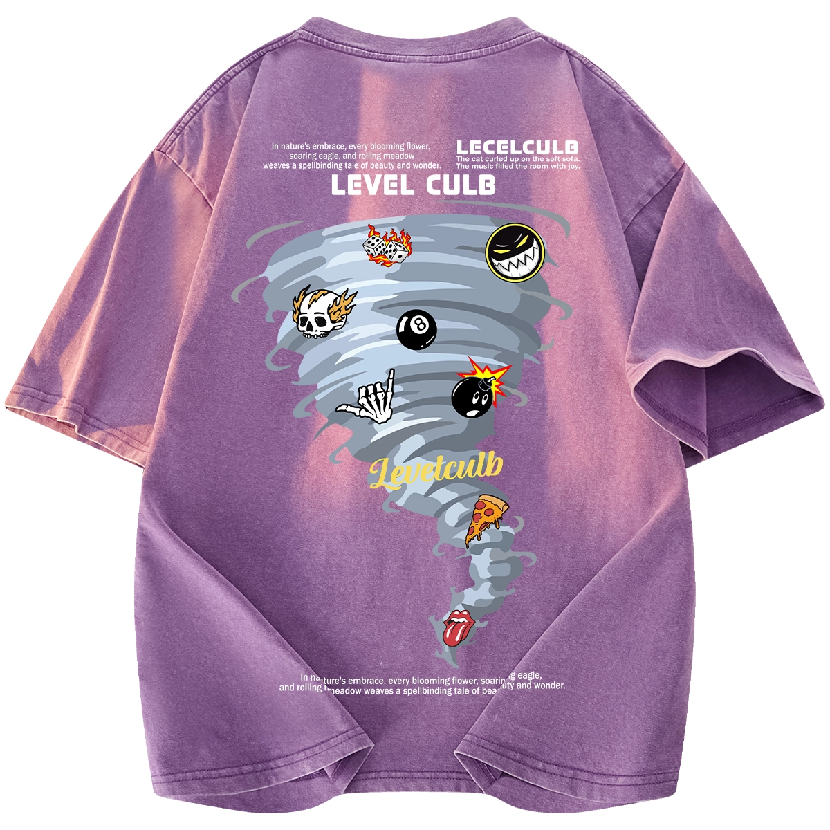 LEVEL T