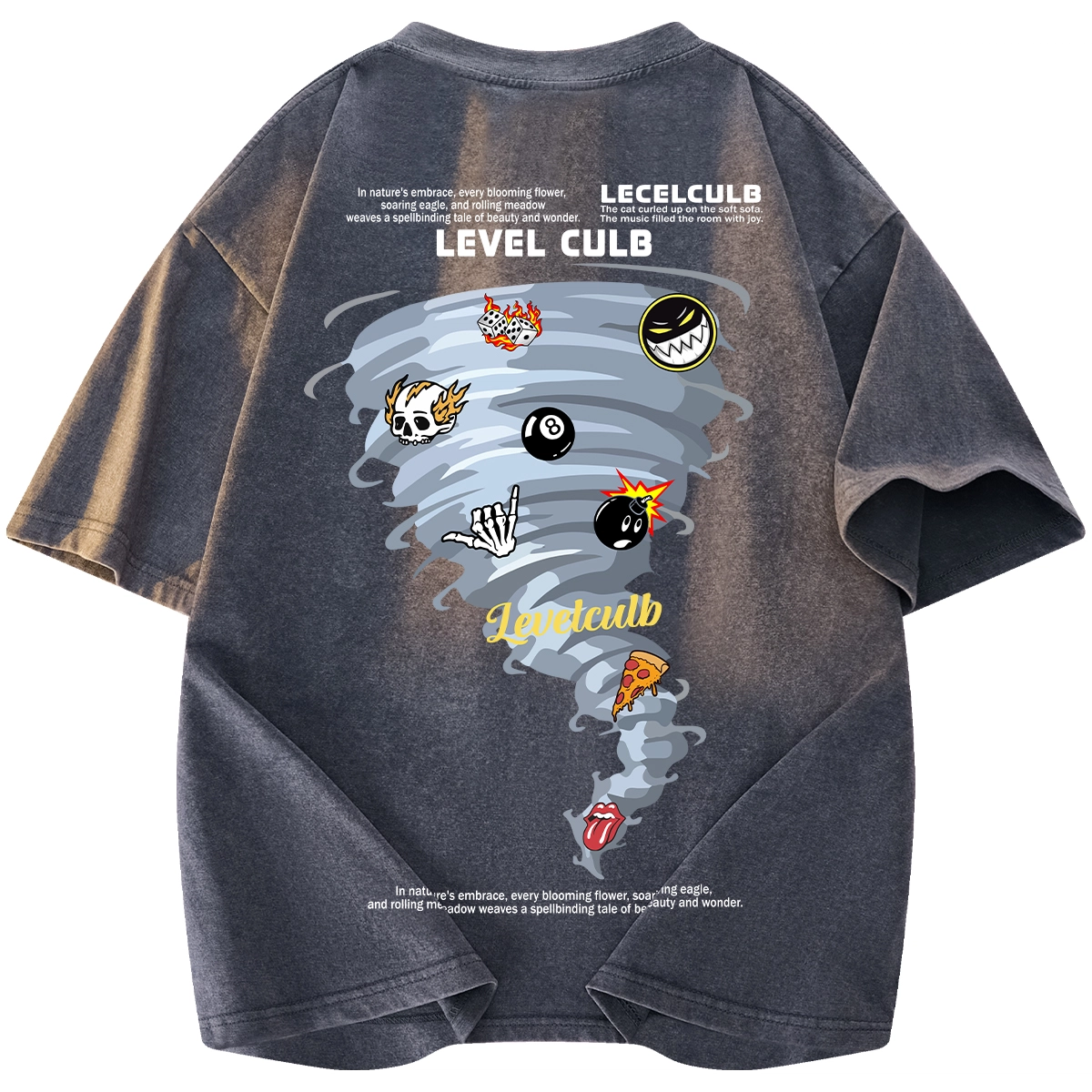 LEVEL T
