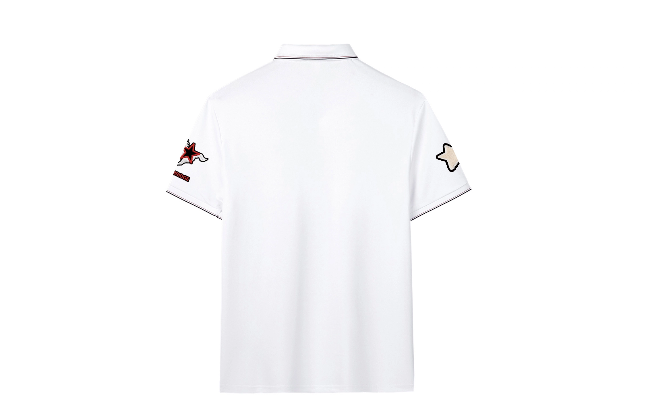 MindBridge LogoPolo