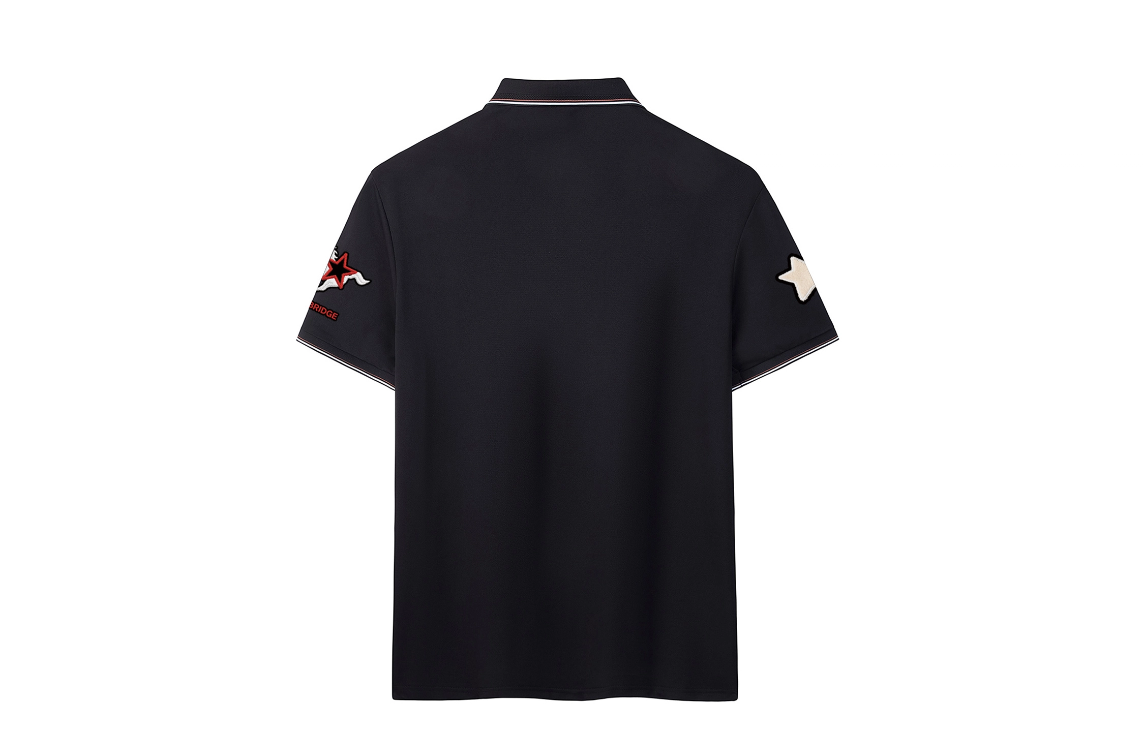 MindBridge LogoPolo