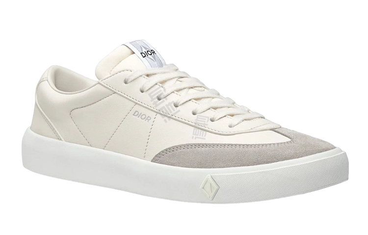 Dior B101