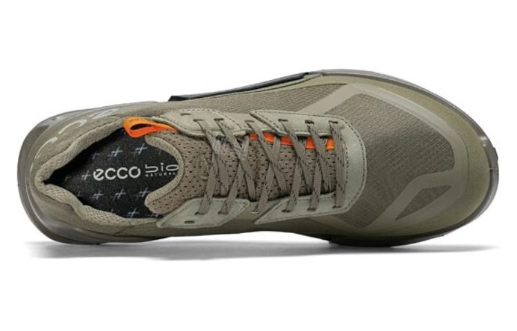 ecco 2.1
