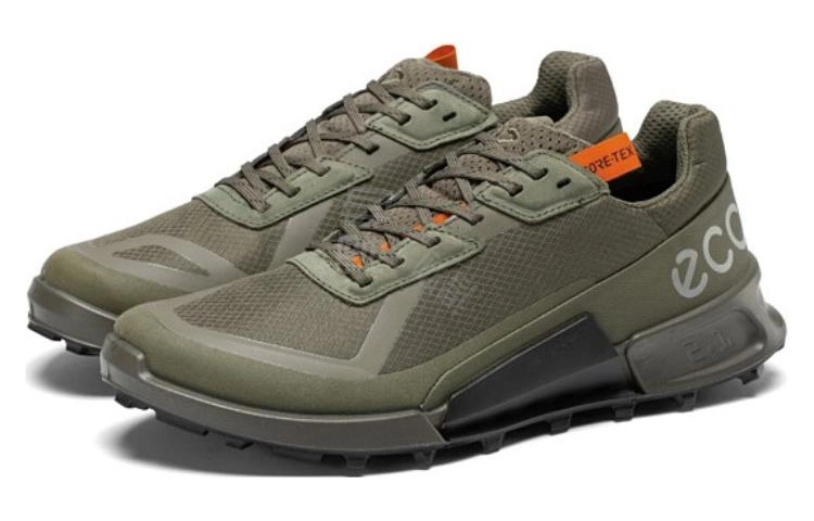 ecco 2.1