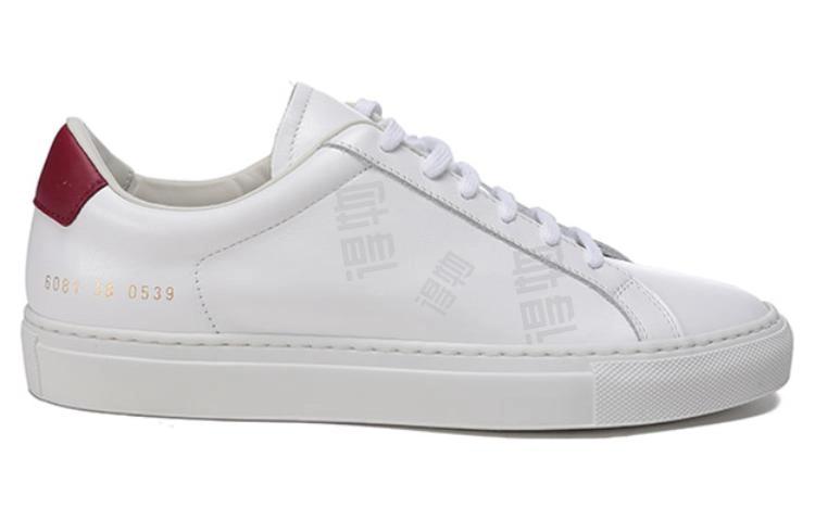 COMMON PROJECTS