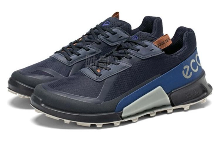 ecco 2.1