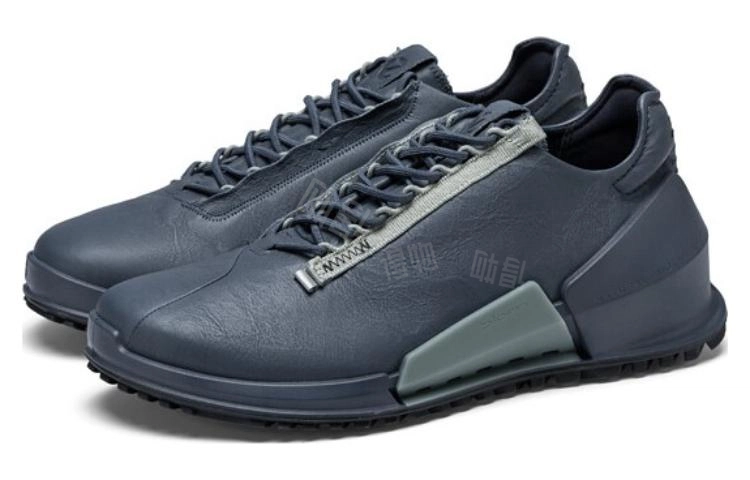 ecco 2.0