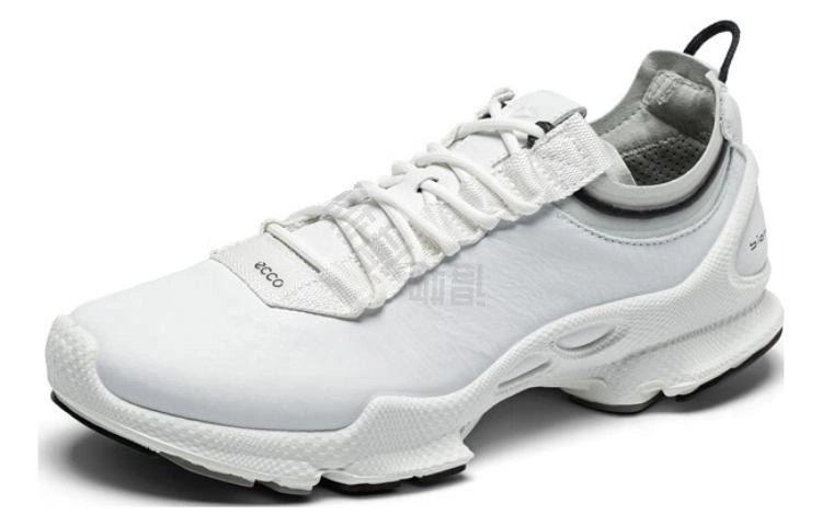 ecco C