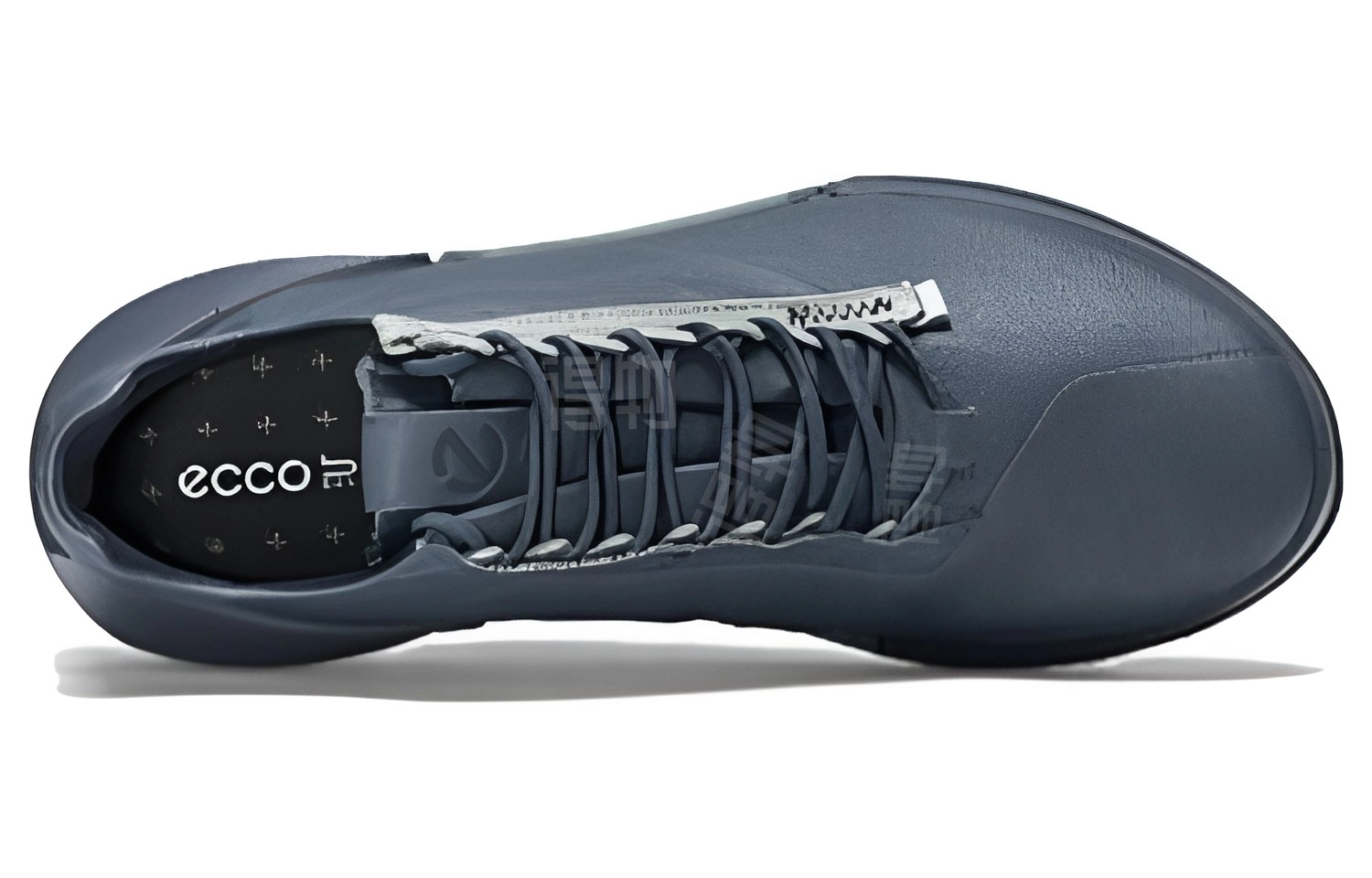 ecco 2.0