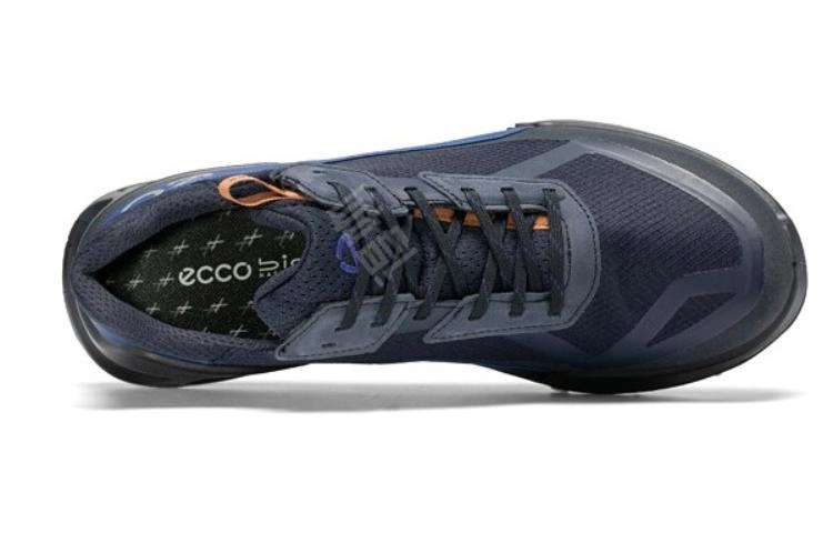 ecco 2.1