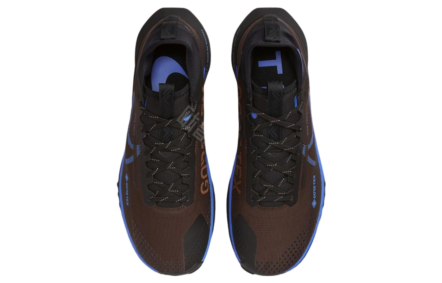 Nike Pegasus Trail 4 GORE-TEX