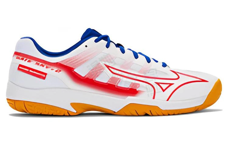 Mizuno Gate Sky Plus2