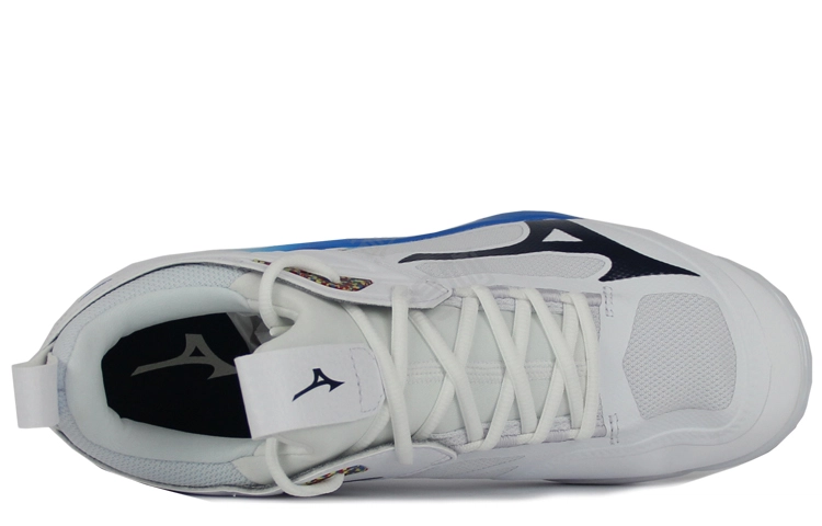 Mizuno Wave Momentum 2