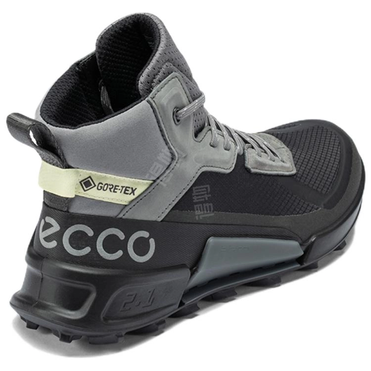 ecco 2.1