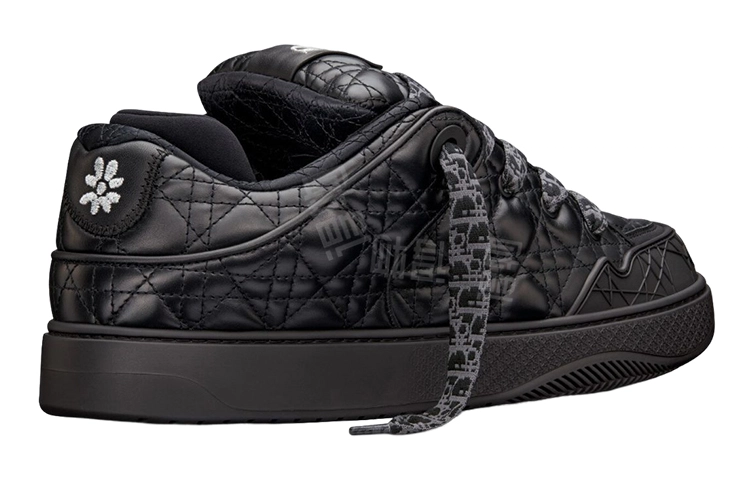 ERL x DIOR B9S