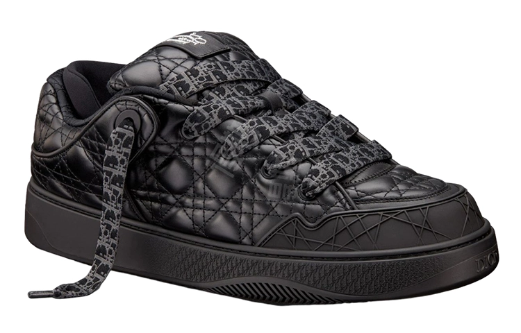 ERL x DIOR B9S