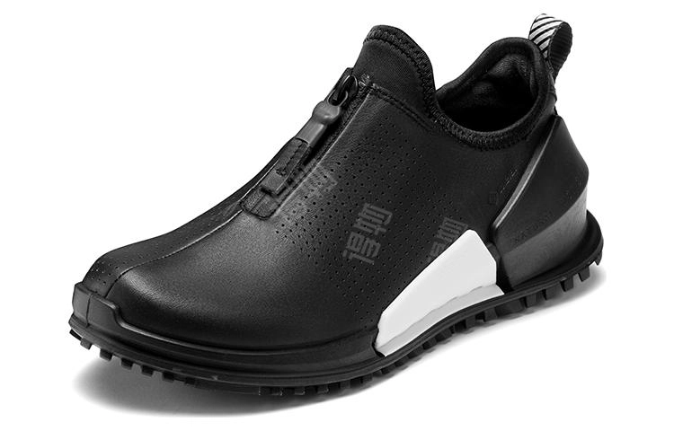 ecco 2.0