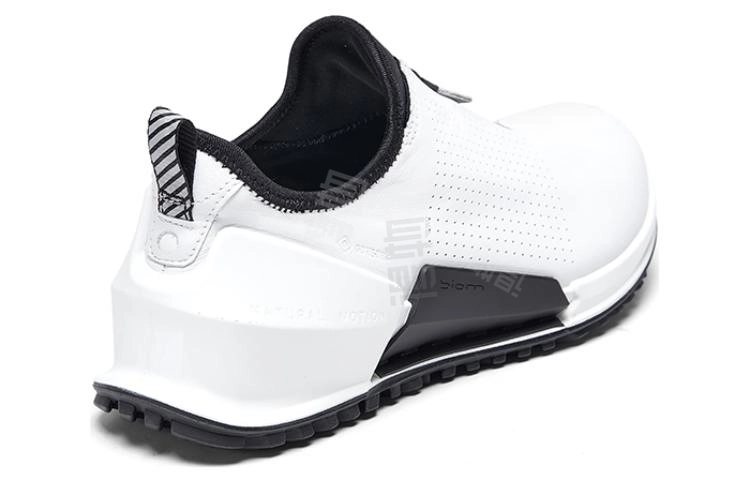 ecco 2.0