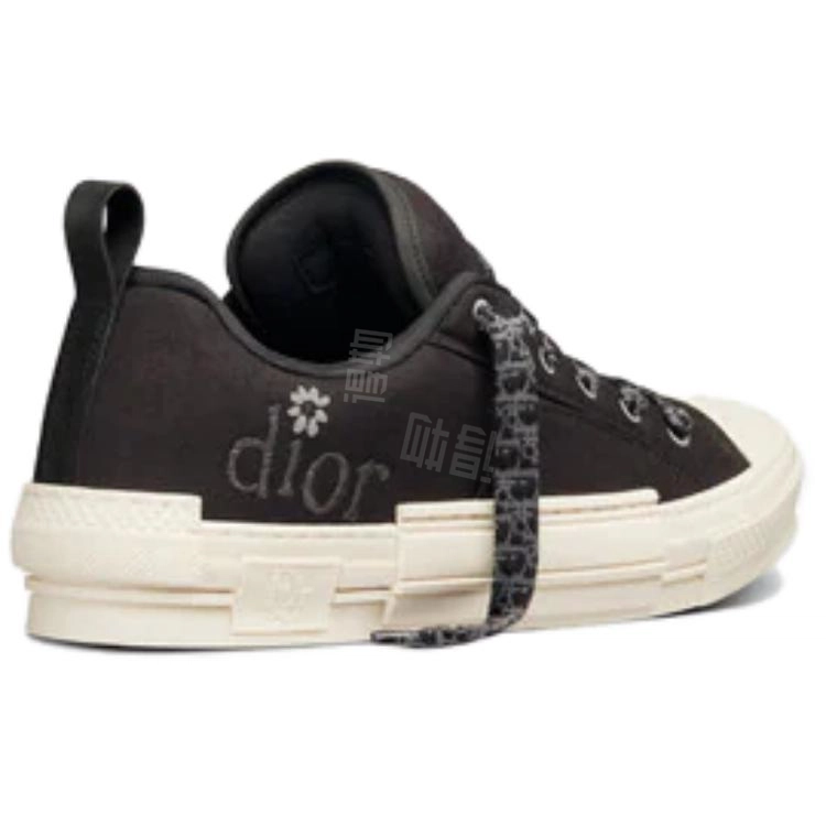 ERL x DIOR B23