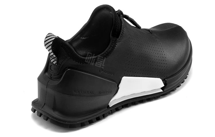 ecco 2.0