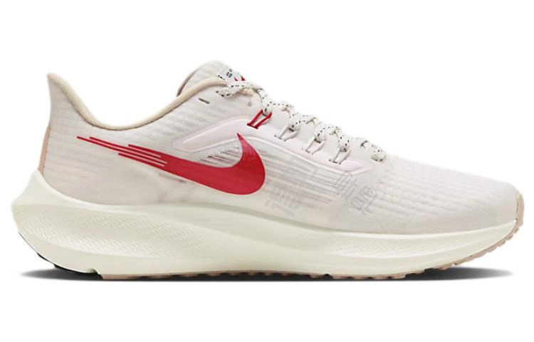 Nike Air Zoom Pegasus 39