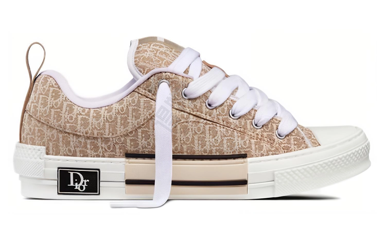 DIOR B23 Oblique