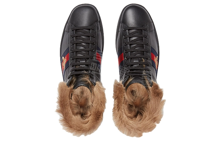 GUCCI ACE